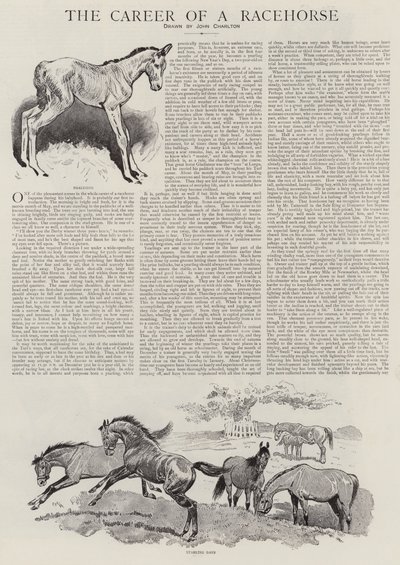 The Career of a Racehorse by John Charlton